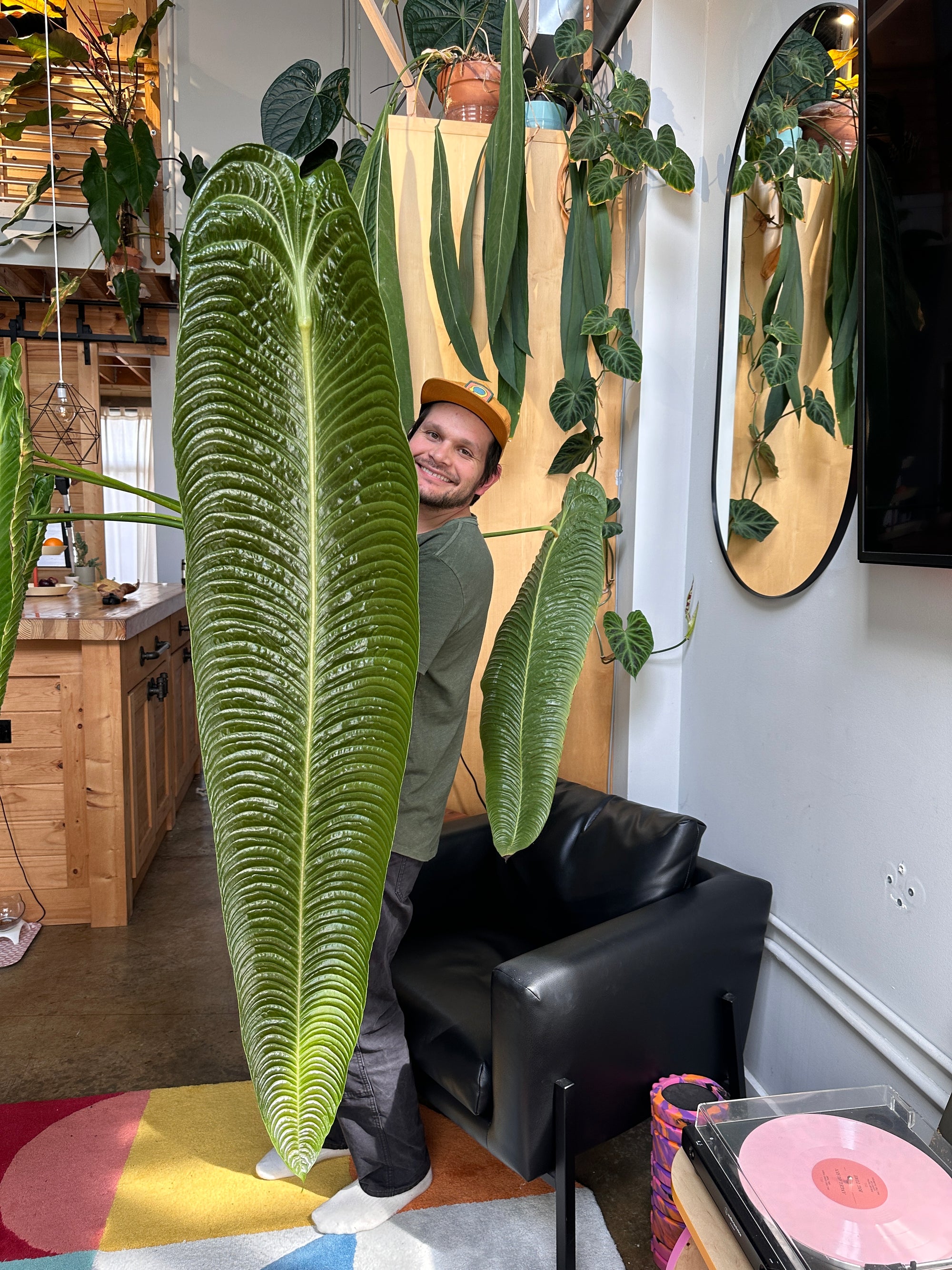 Plant Tips and Tricks at Cat Eye Creative