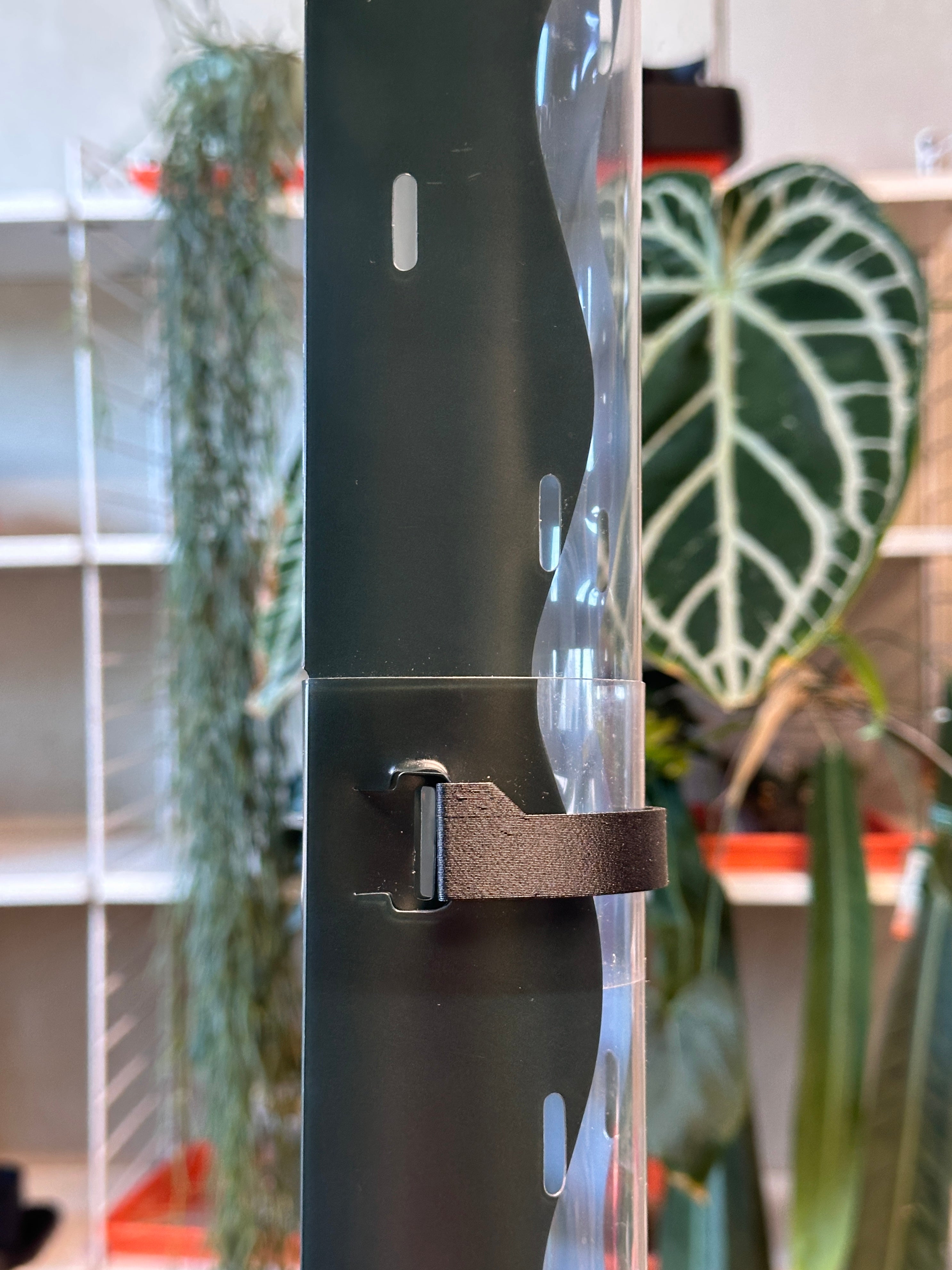 Moss Pole Extension Clips