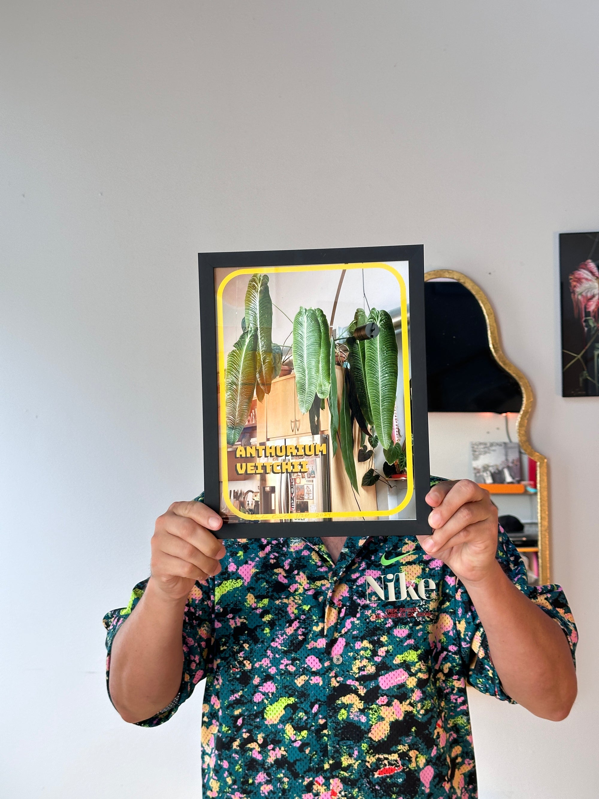 Anthurium veitchii Photo Print