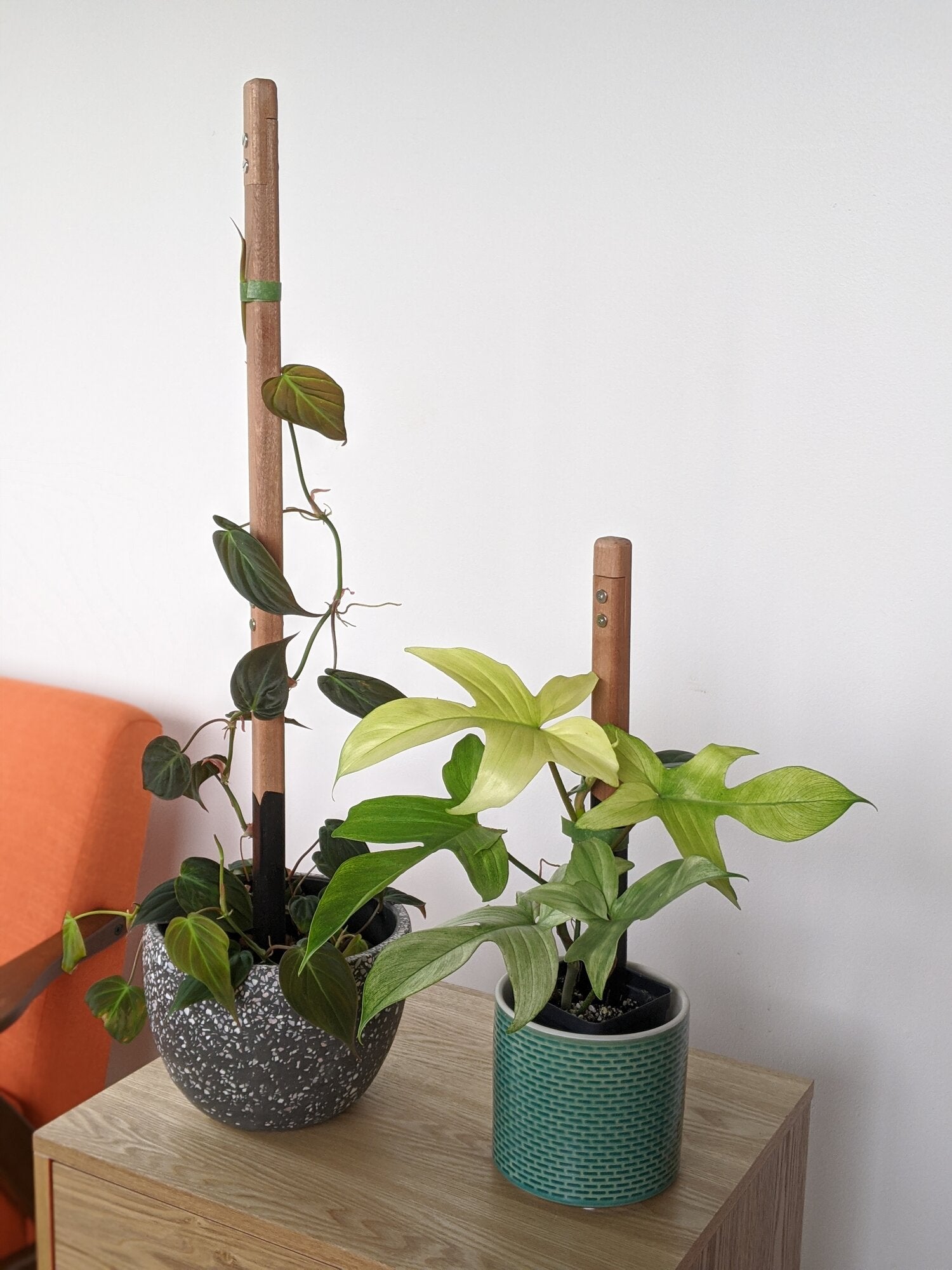 Extendable Mahogany Pole - Extension