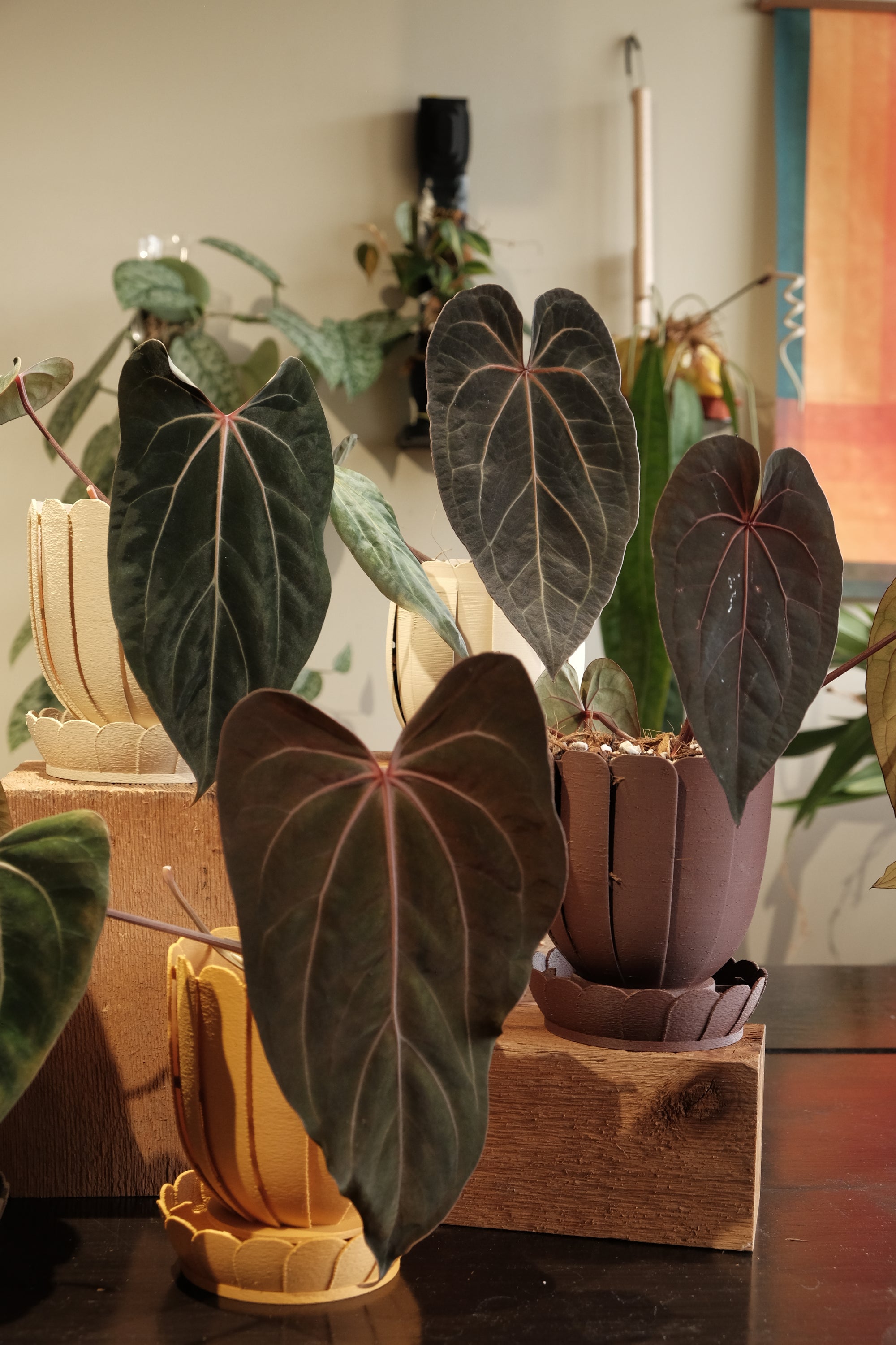 Rousseau Petal Pot - Pre-Sale Ships in 2 Weeks