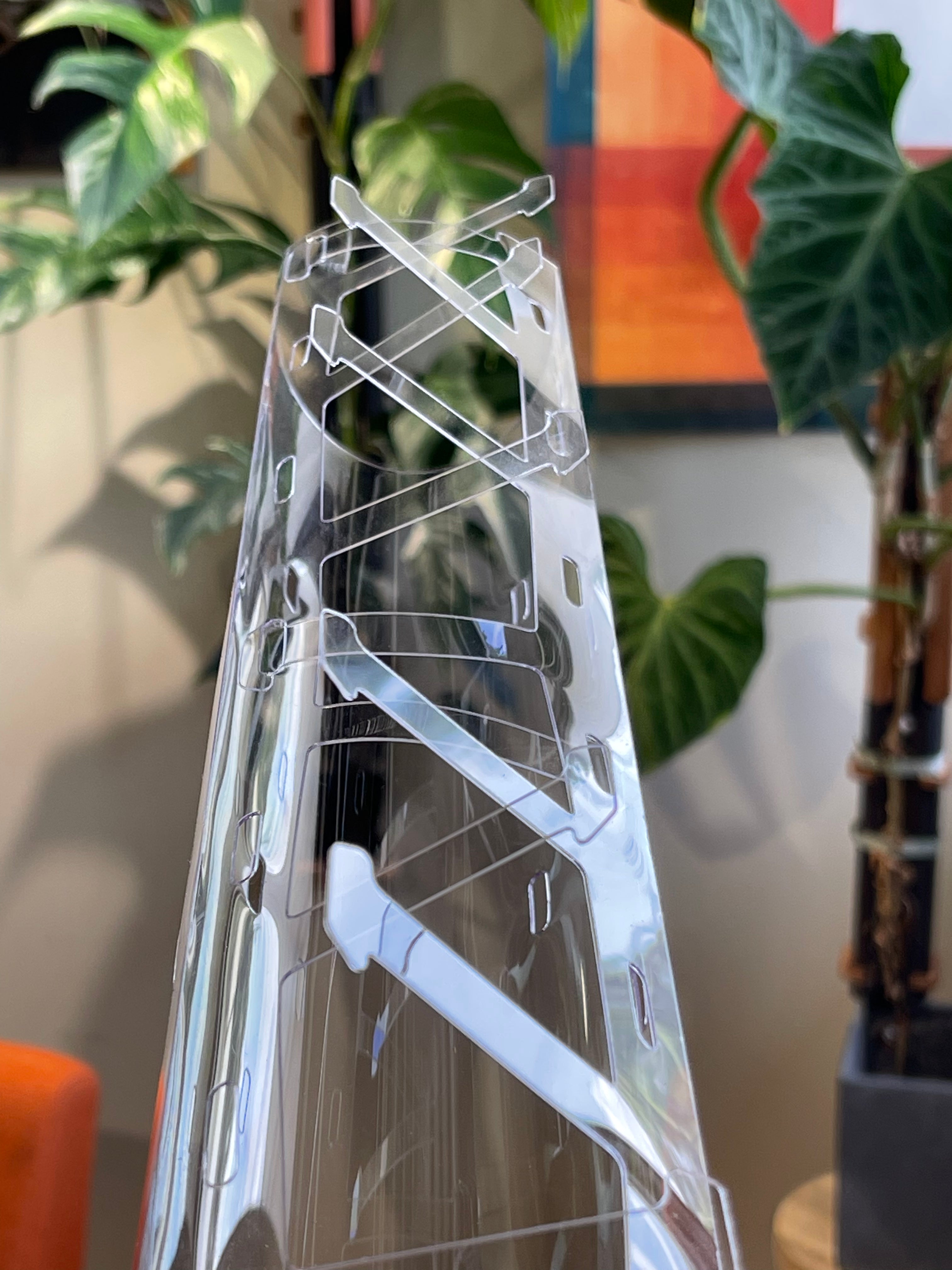 Clear Moss Pole Instructions & Tips – Rousseau Plant Care