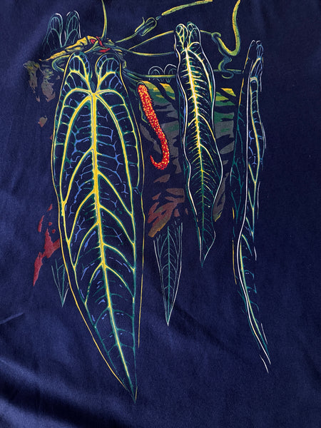 IMG-4864_grande.jpg?v=1716934785