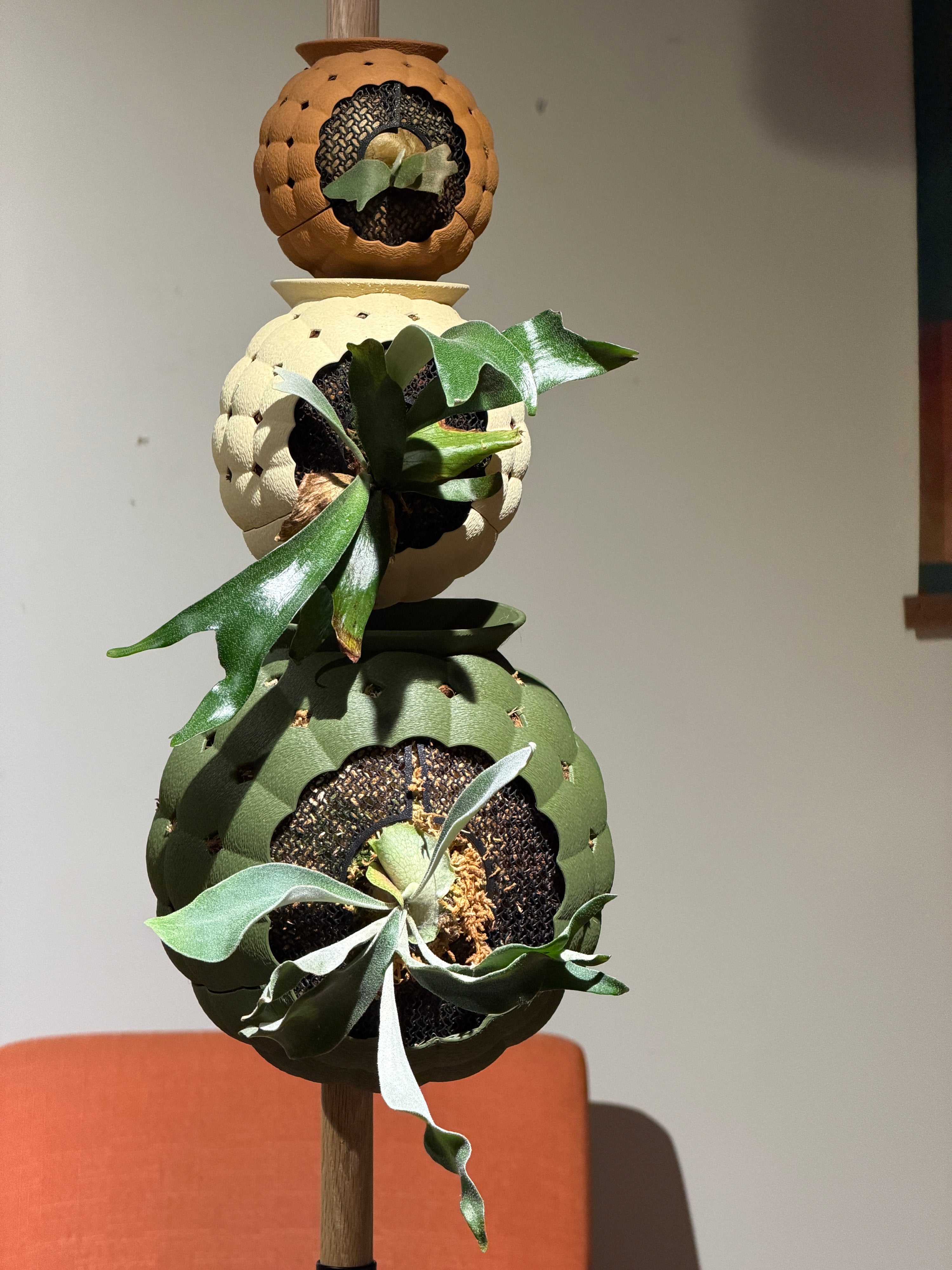 rousso moss pole wall mount Rousseau Mount: Orb – Rousseau Plant Care