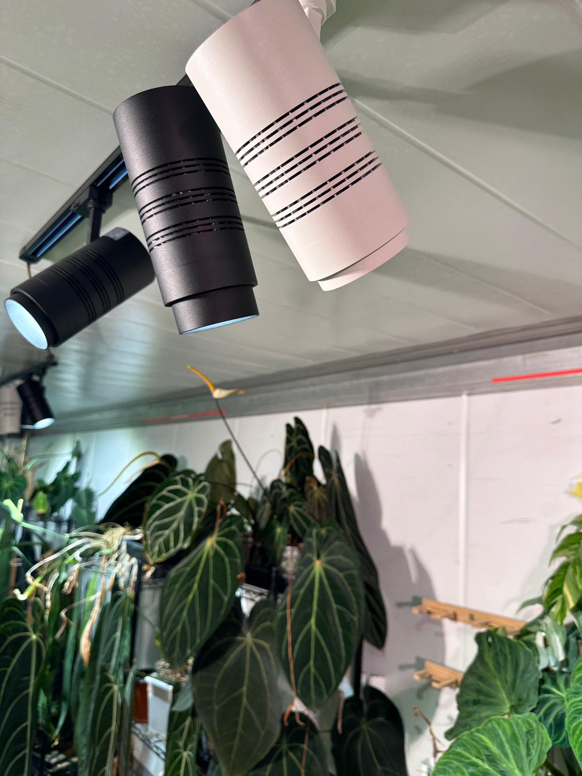 string grow lights for indoor plants Black Track Light - INDIVIDUAL LIGHT