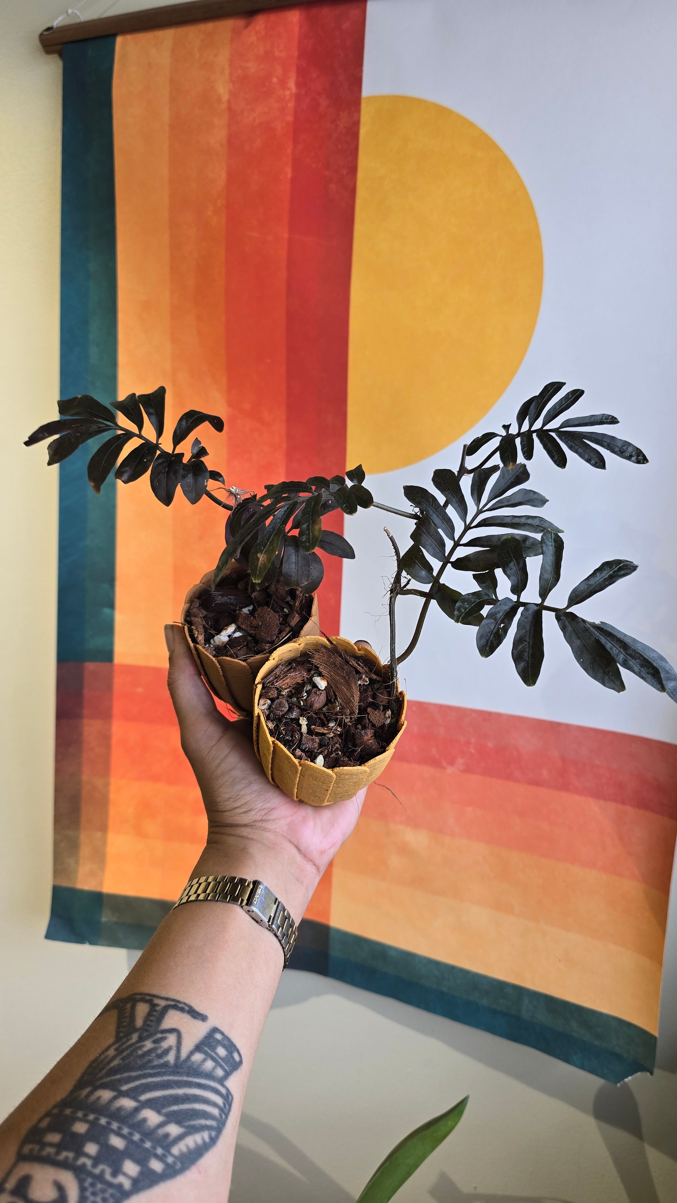 Mini Rousseau Petal Pot