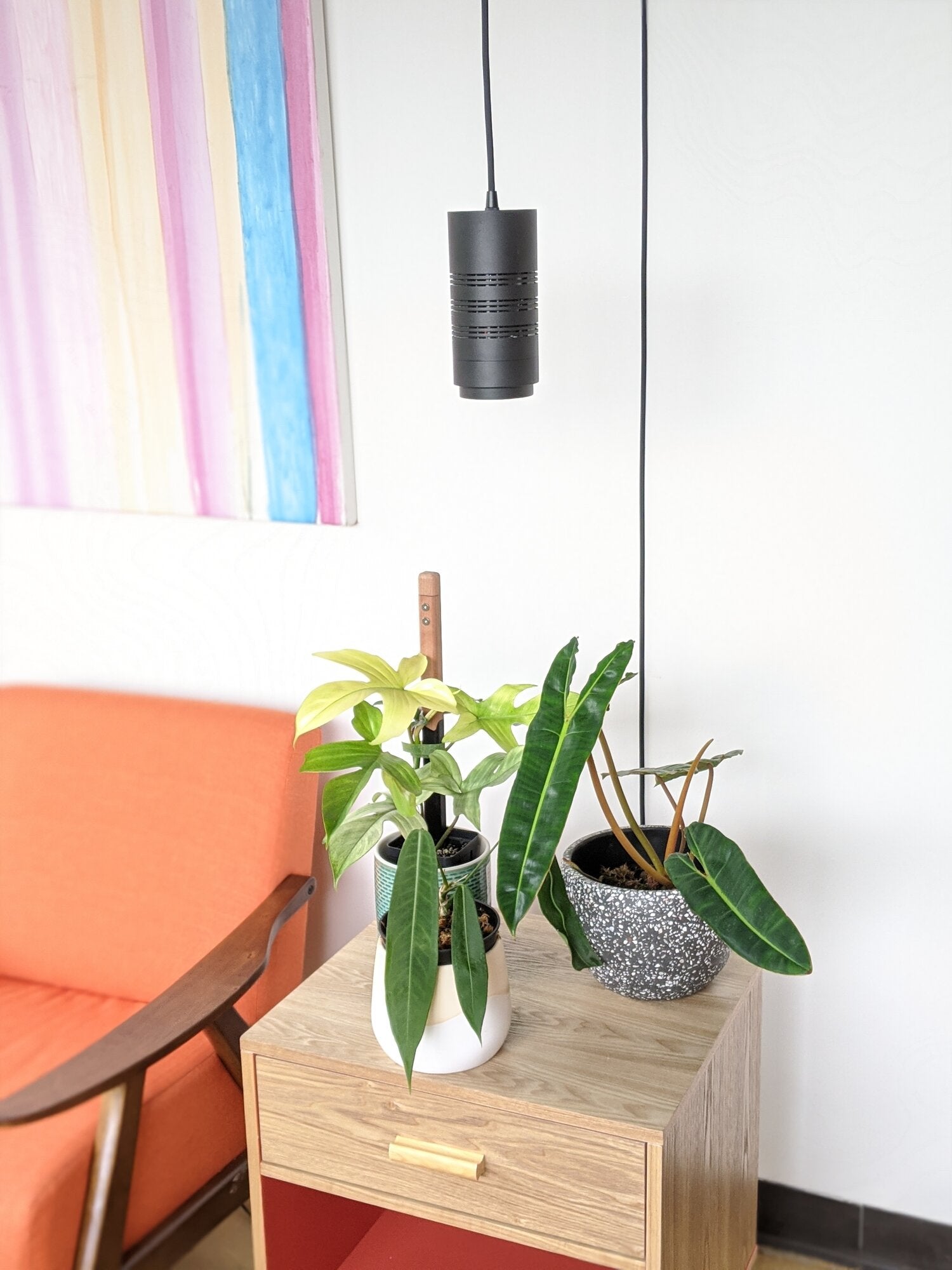 hanging light plant Black Pendant Grow Light