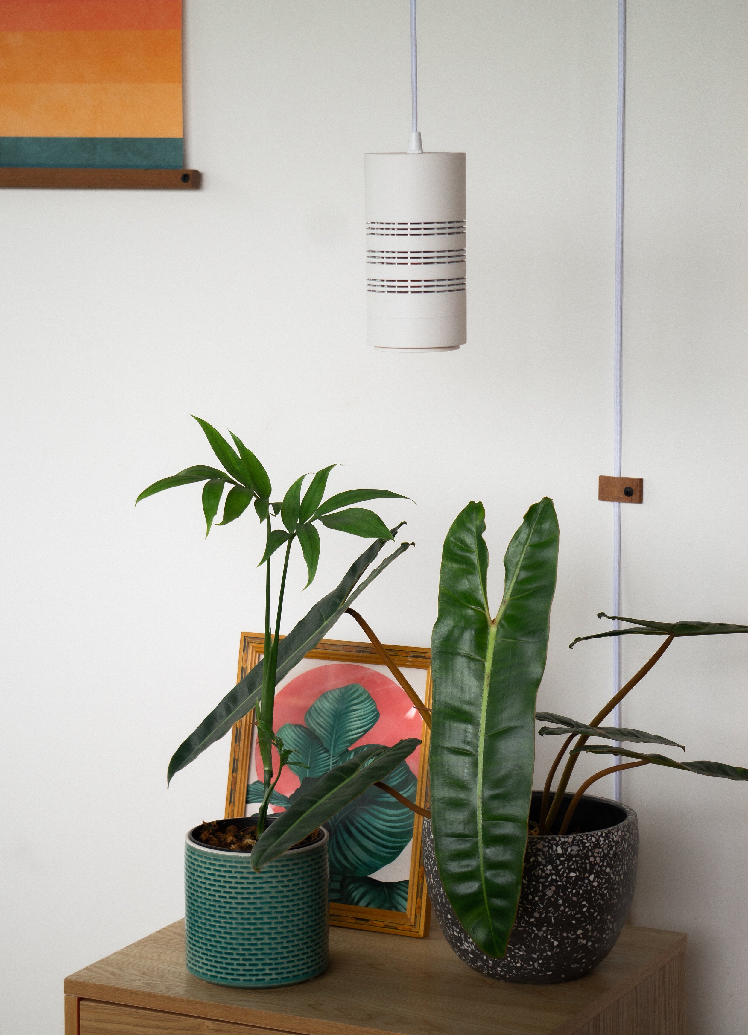 white plant grow light White Pendant Grow Light